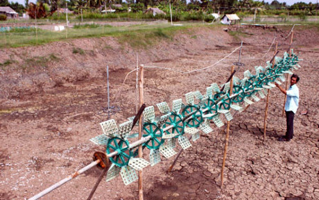 Nông dân nuôi tôm treo đầm vì thua lỗ