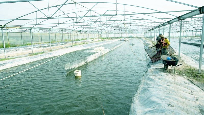 Bạc Liêu đổi hướng đột phá, kêu gọi đầu tư