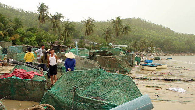 Phú Yên:  Mất hơn 200 tỷ đồng sau bão, người nuôi tôm 'khát' vốn để khôi phục sản xuất