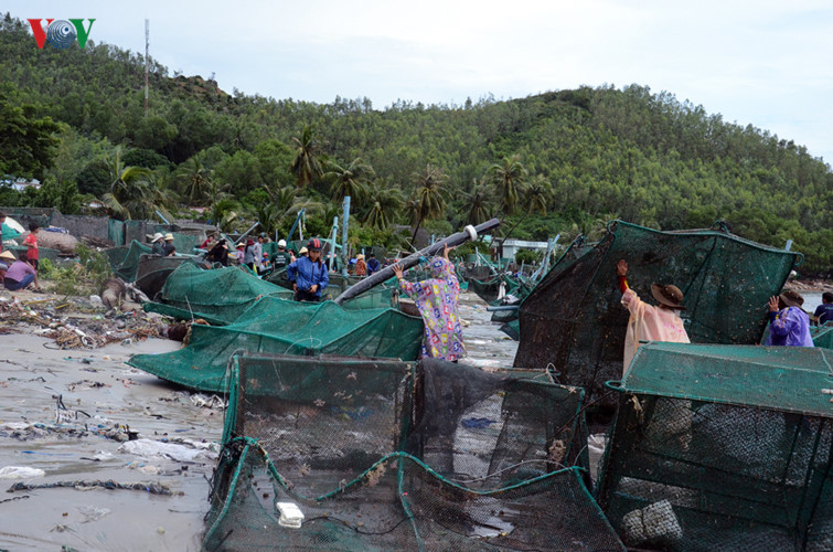 Khánh Hòa: Tan hoang vùng nuôi thủy sản, nan giải tái thiết sau bão