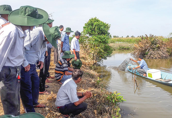 mô hình nuôi tôm ít thay nước