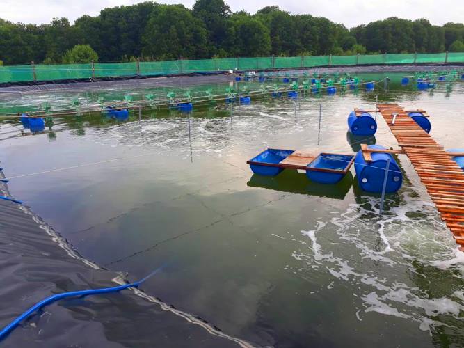 Quy hoạch vùng nuôi, bài toán muôn thuở