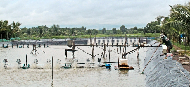 Vướng quy hoạch, người dân nông thôn mới ngại đầu tư dài hạn