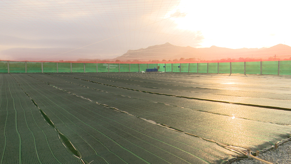 Ao tôm ứng dụng công nghệ cao của Cơ sở nuôi tôm Anh Khoa