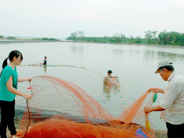 nuôi tôm ở Cần Giờ