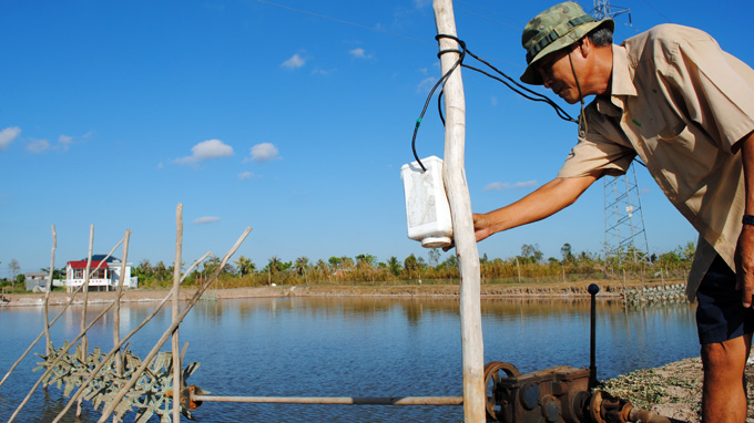 nuoi tom dam doi ca mau