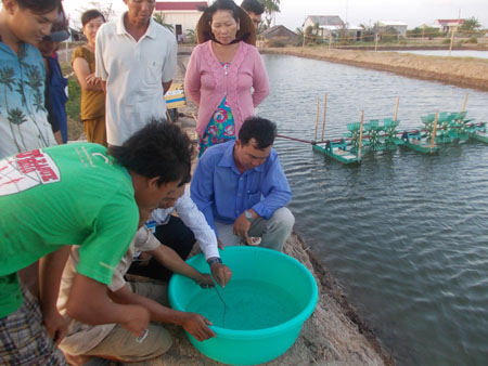 nuoi tom o tra vinh