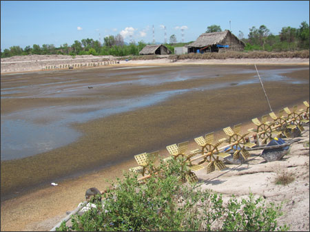 phơi đáy ao chờ thả tôm