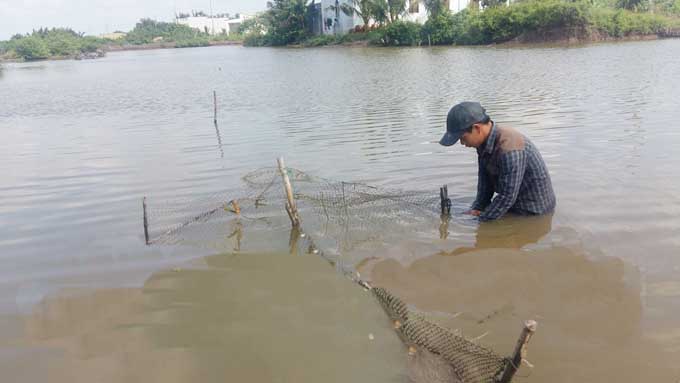 Huyện Đông Hải: Nuôi trồng và khai thác thủy sản vượt kế hoạch