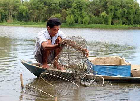 Hiệu quả từ những mô hình chuyển đổi