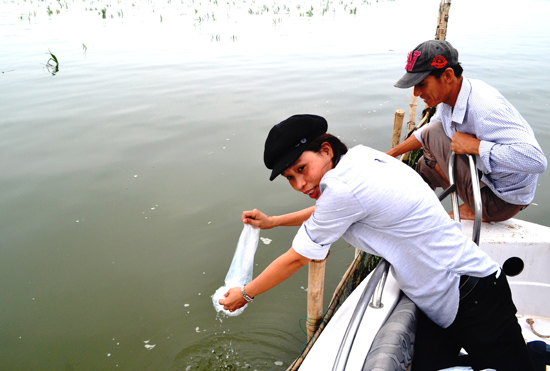 Quảng Nam: Khuyến khích nuôi tôm sinh thái