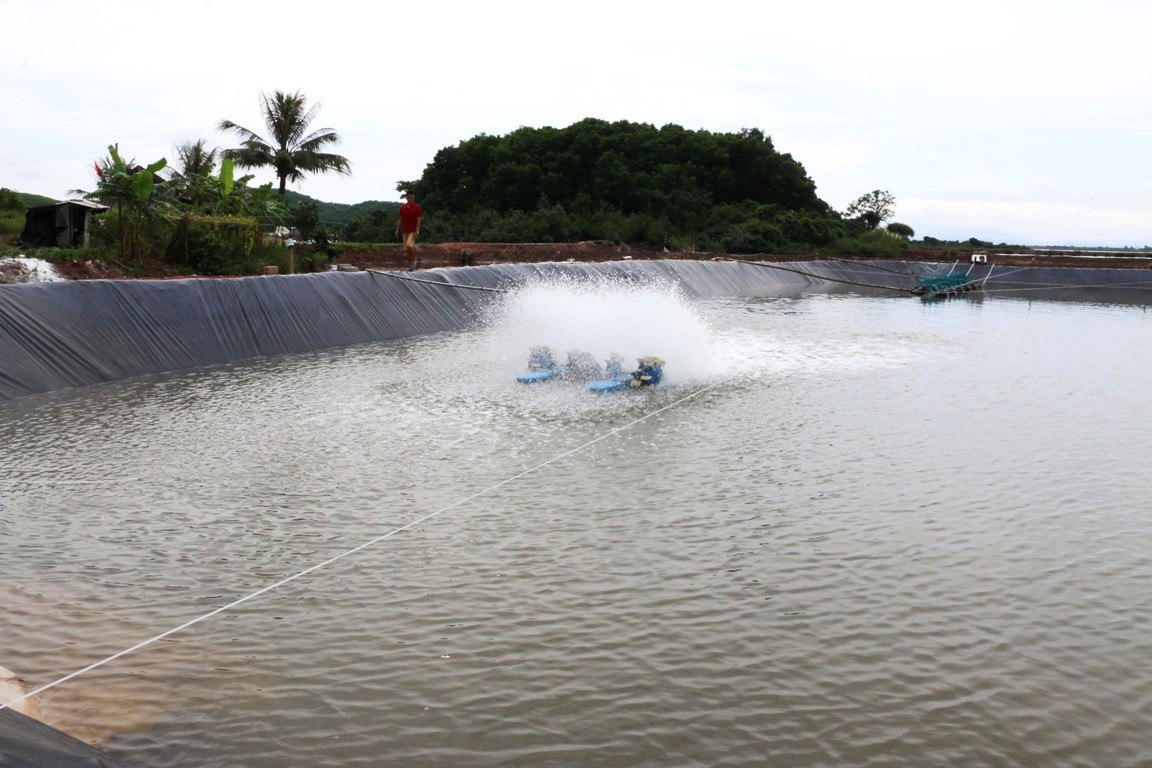 Quảng Ninh: Quản lý khai thác và sử dụng nước ngầm để nuôi trồng thủy sản