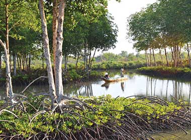 nuôi tôm sinh thái