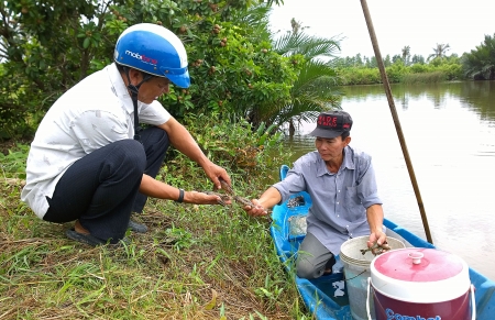 nuôi tôm sú quảng canh