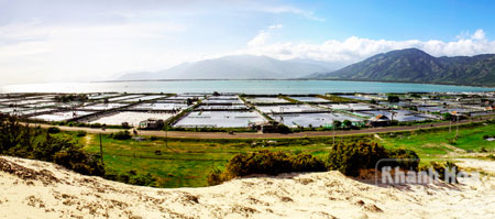 nuôi tôm trên bạt