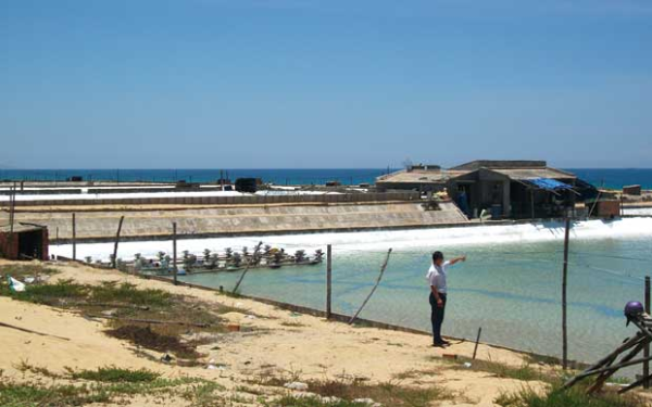 nuoi tom tren cat binh dinh