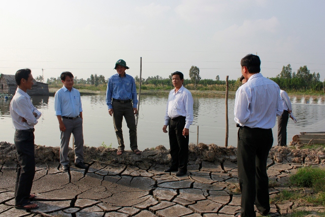 nuôi tôm tự phát