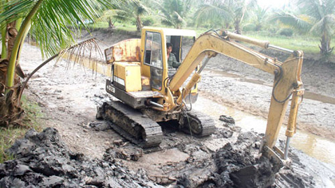 nuôi tôm vùng ngọt hóa