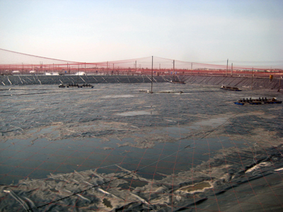 CP, nuôi tôm, Quảng Bình