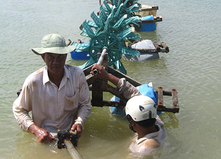 Người nuôi tôm sẽ chẳng mặn mà với bảo hiểm tôm nếu như các cấp, các ngành thiếu quan tâm, giám sát việc triển khai thực hiện đảm bảo mục đích đúng đắn mà Thủ tướng Chính phủ đã đặt ra.