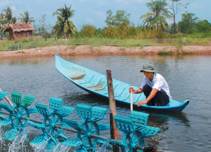 nuôi tôm công nghiệp cà mau