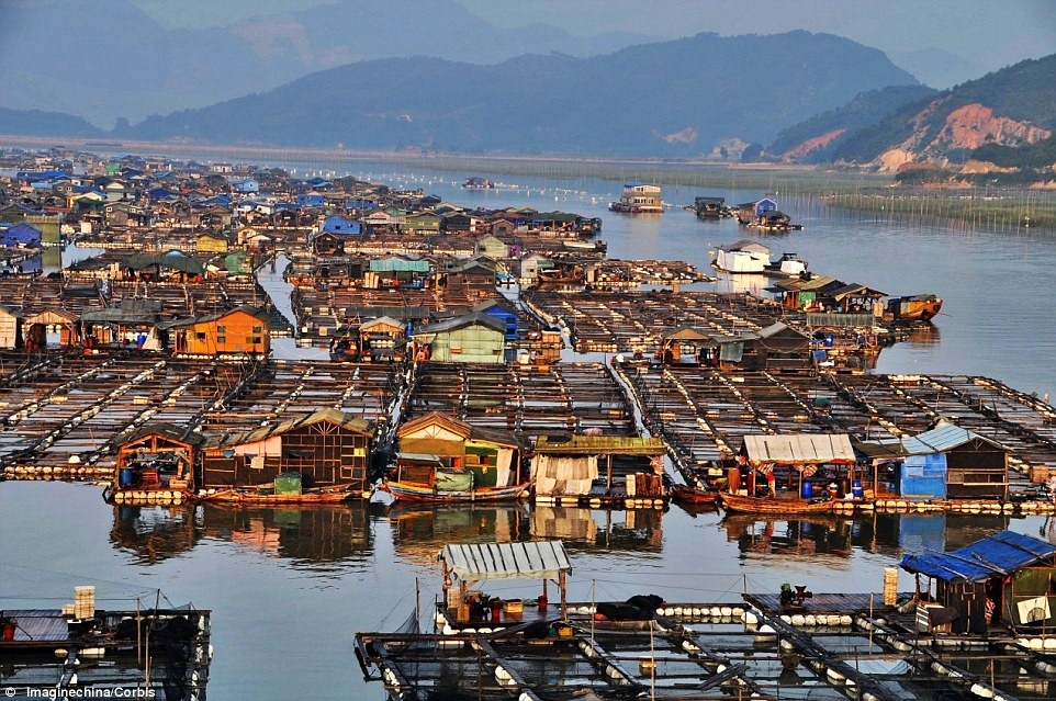 Trung Quốc: Ngành nuôi trồng thủy sản bị thiếu hụt lao động