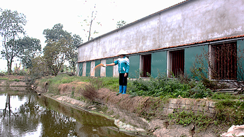 Yên Thành phát triển nuôi thủy sản nội đồng