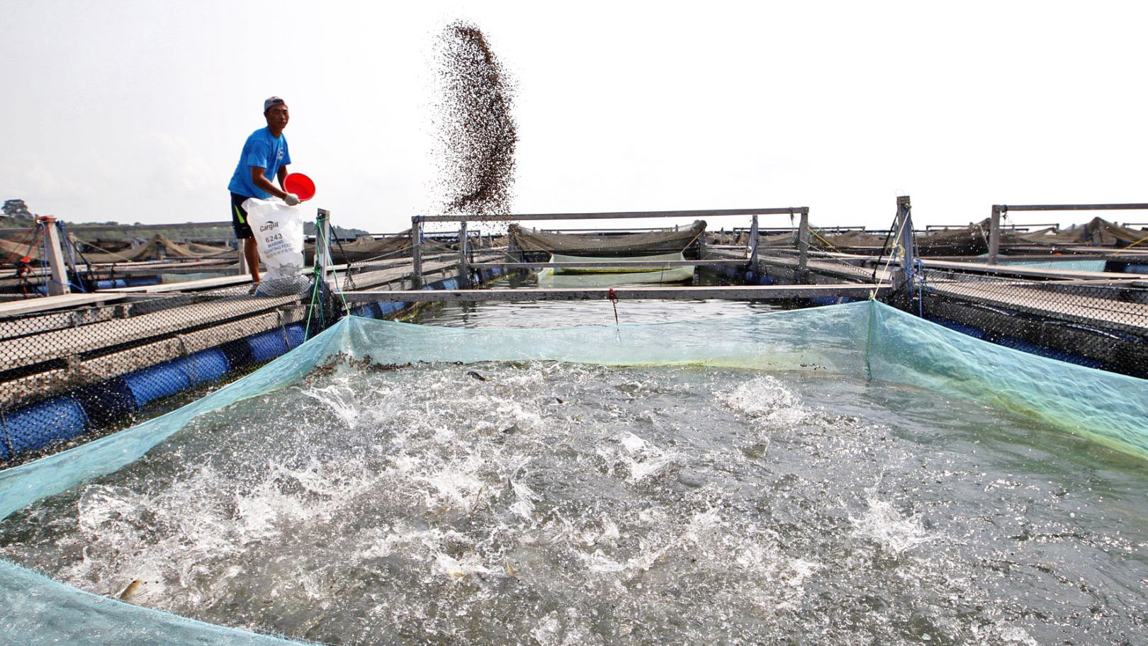 Trung Quốc: Thuế môi trường ngành thủy sản tạo ra hiệu ứng trái chiều