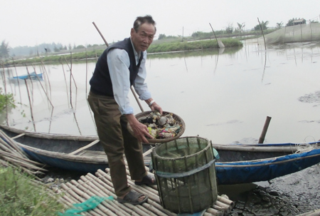 Ông Diên thu lợi từ mô hình nuôi tôm, cua, cá theo kiểu sinh thái.