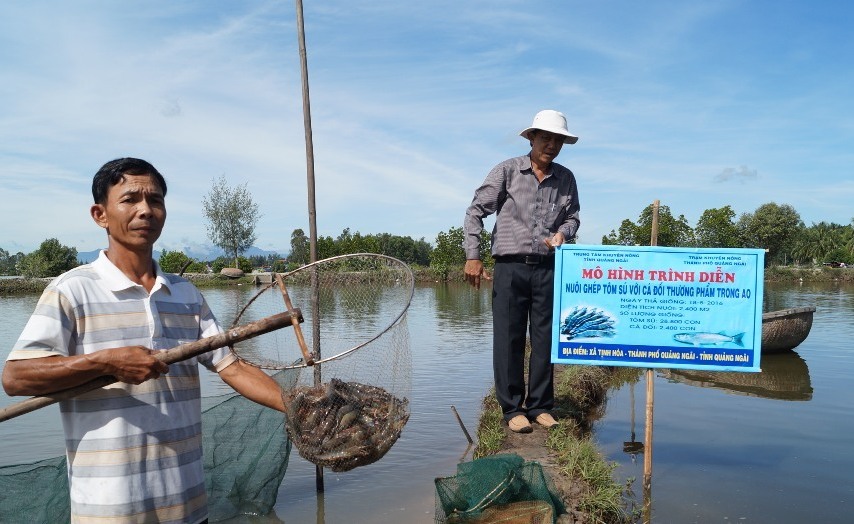 Giải pháp nuôi tôm an toàn dịch bệnh - Quảng Ngãi