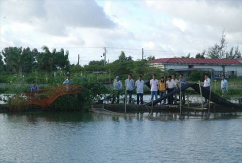 nuôi cá chẽm ở Bạc Liêu