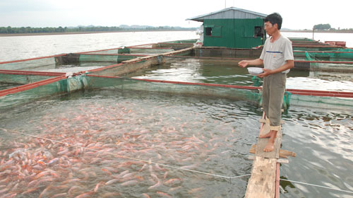 Ảnh minh họa (Nguồn: Internet)