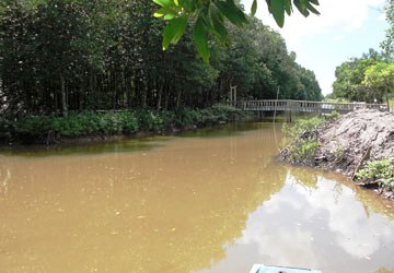 Đào kênh nuôi tôm giữa rừng phòng hộ (Ảnh: Phapluattp.vn)