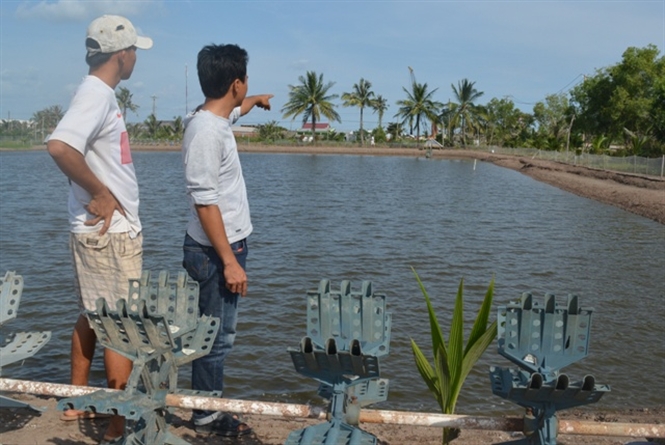 ô nhiễm dầu
