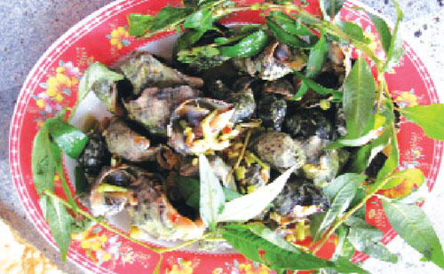 ốc gừng