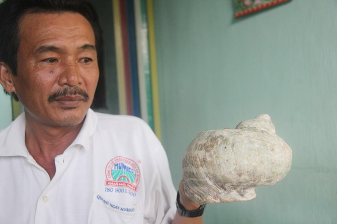 Loài ốc sên hồng Kaputar chỉ sống trên núi Kaputar ở bang New South Wales trong Công viên quốc gia núi Kaputar được bảo tồn.