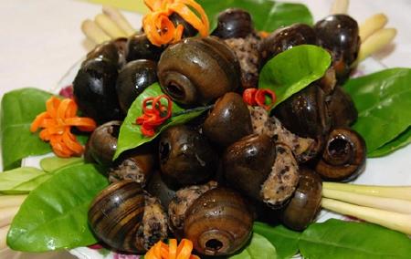 ốc nhồi thịt, ốc nhồi, thuốc từ ốc