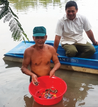 kiểm tra sò giống.