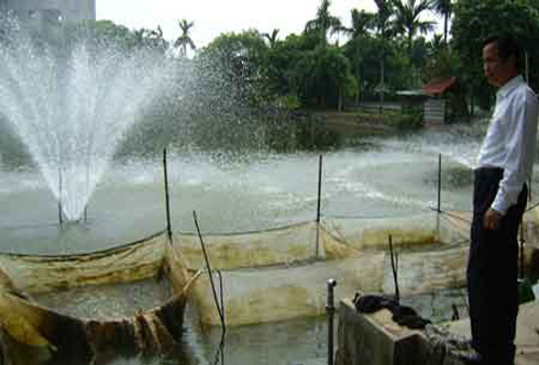 ca giong nguyen duc chi