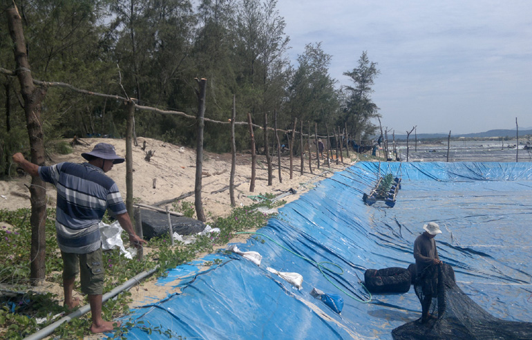 phá rừng nuôi tôm