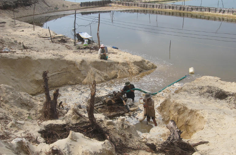 phá rừng phòng hộ