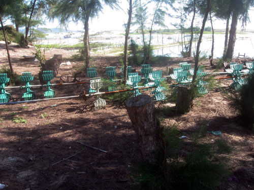 Cán bộ địa phương phá rừng phòng hộ