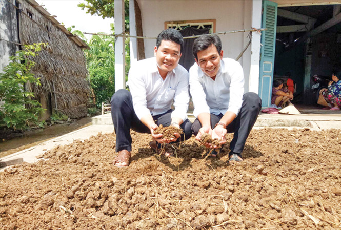 Tận dụng phân bò cho nuôi tôm sạch