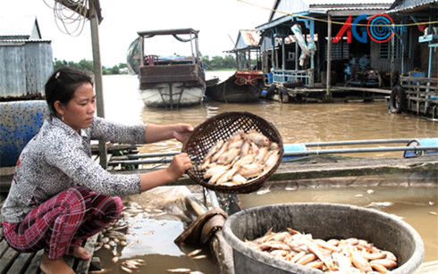 phan tich nguyen nhan ca chet