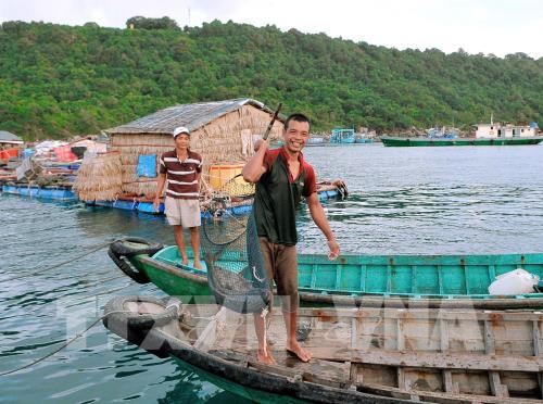 Kiên Giang: phát triển toàn diện thủy sản kinh tế biển