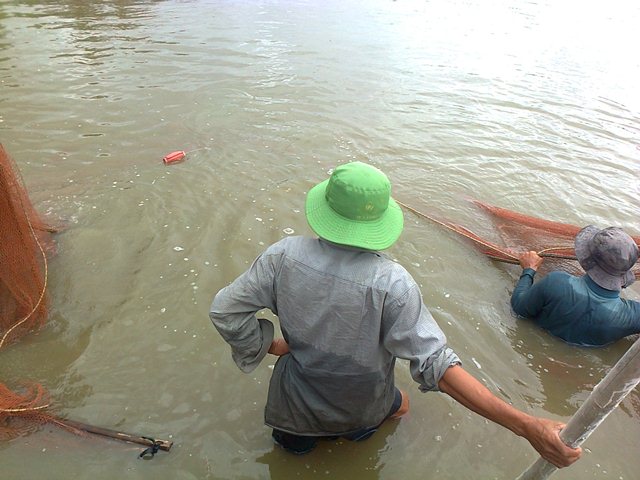 phát triển ngành thủy sản