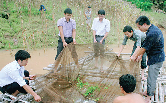 phát triển nghề nuôi cá lồng