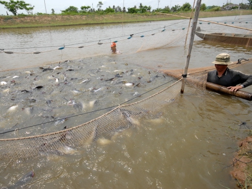 phát triển thủy sản