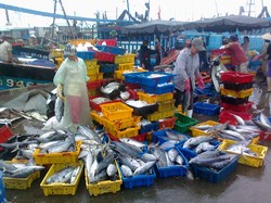 phát triển thủy sản