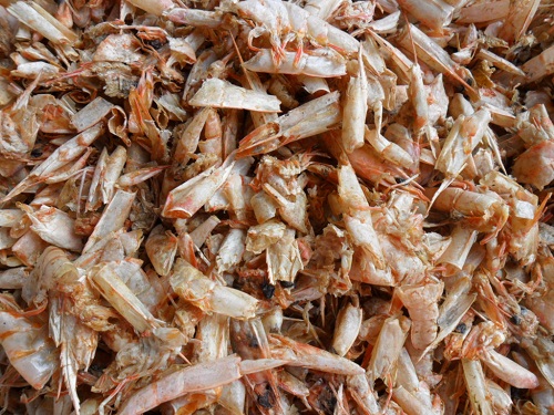 tái chế phế liệu tôm